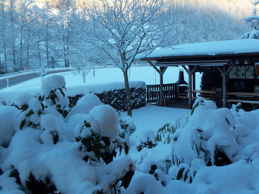 Pension Haus Rose Oberharmersbach Esterno foto