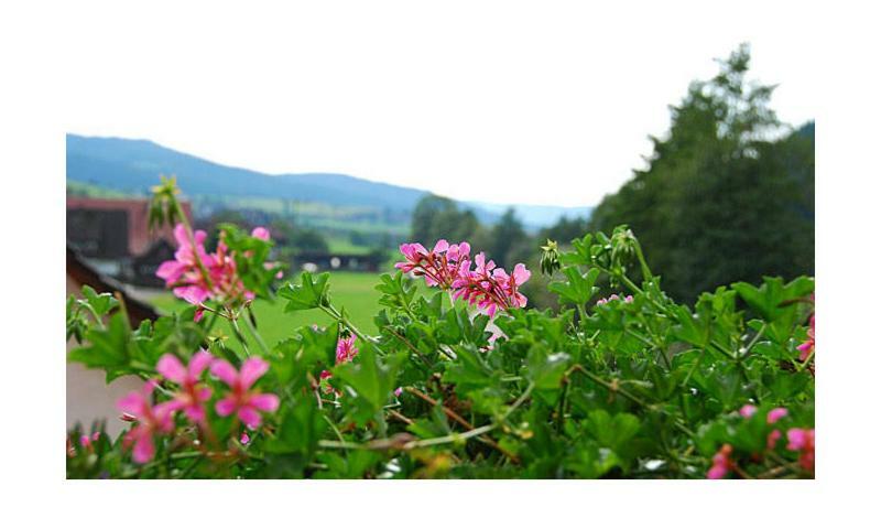 Pension Haus Rose Oberharmersbach Esterno foto