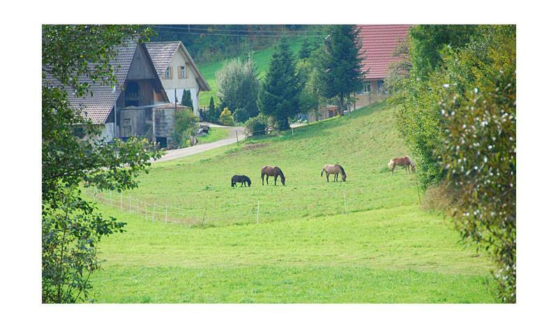 Pension Haus Rose Oberharmersbach Esterno foto