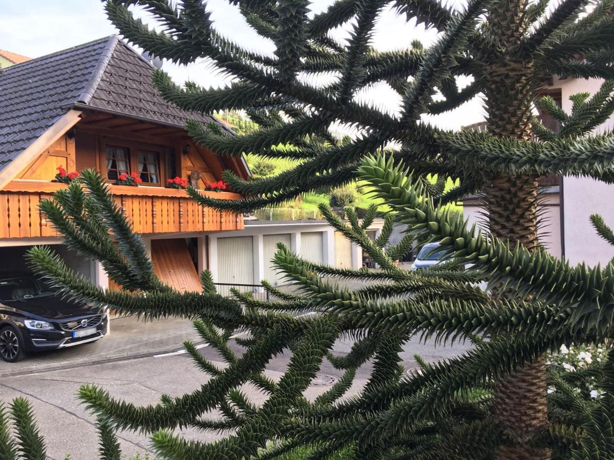 Pension Haus Rose Oberharmersbach Esterno foto